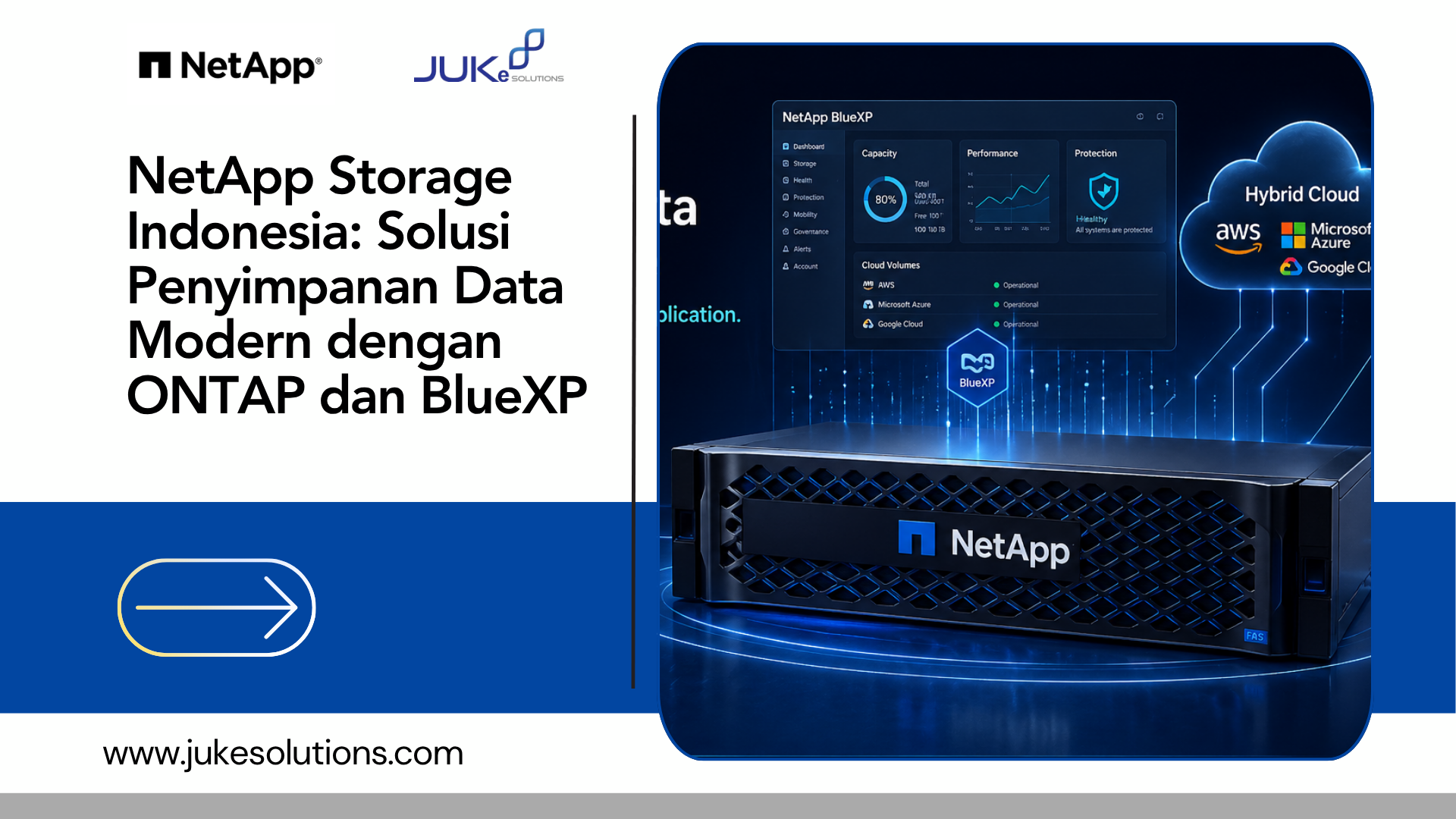 NetApp Storage