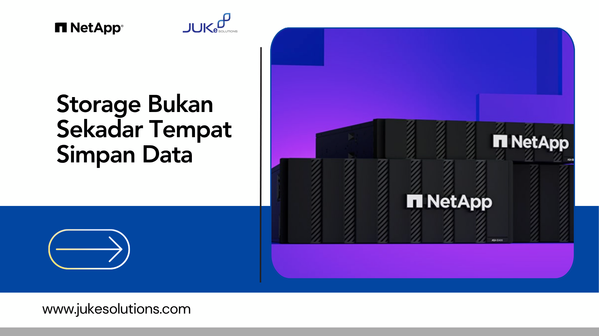 Netapp storage