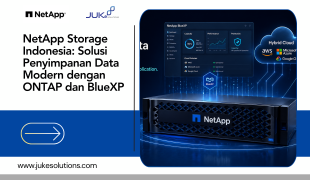 NetApp Storage
